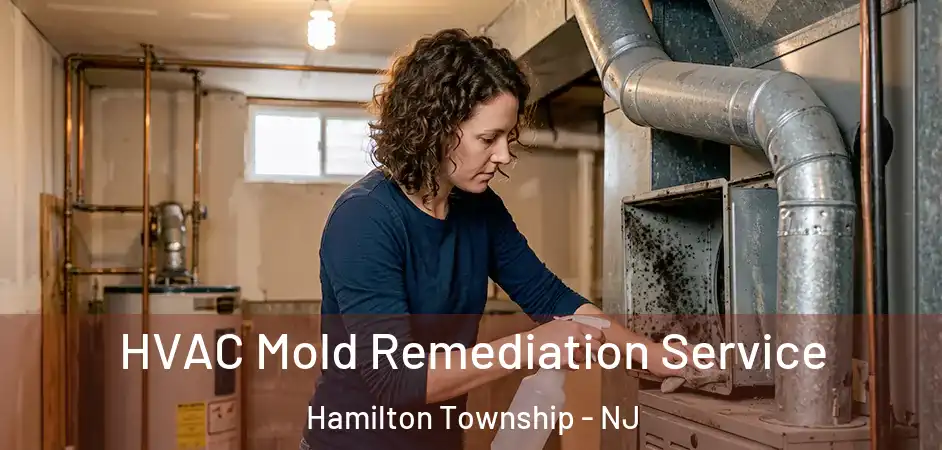 HVAC Mold Remediation Service Hamilton Township - NJ